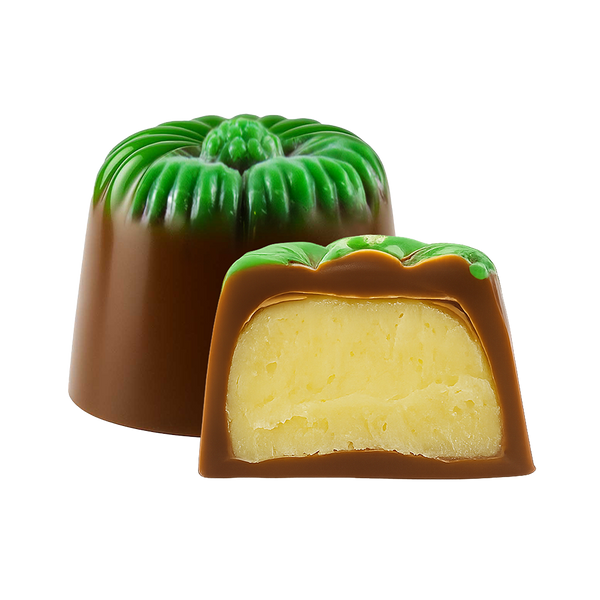 New Zealand Kiwifruit Loose Chocolate